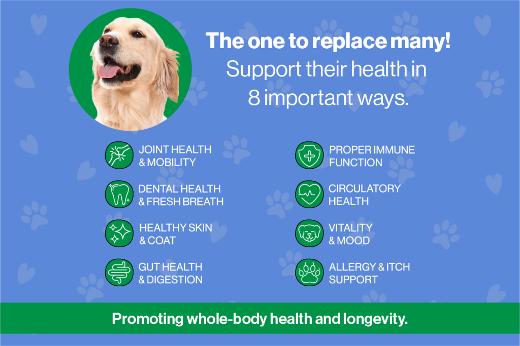 Multivitamin meal topper for dogs benefits