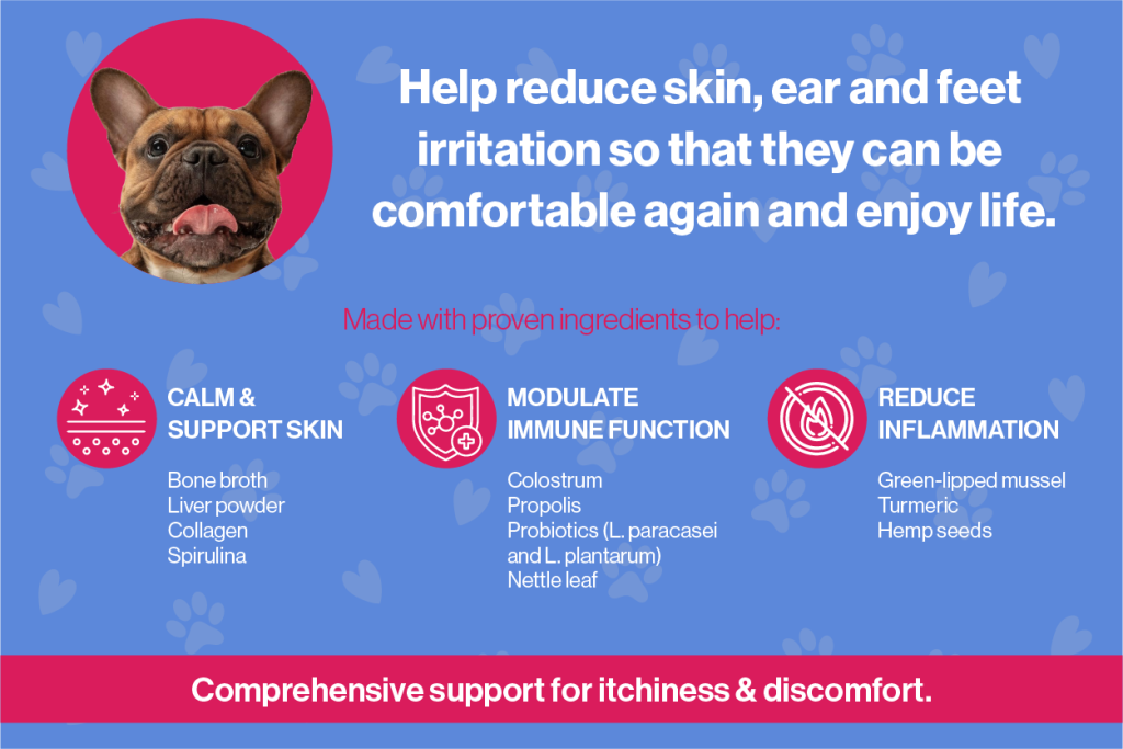 Allergy supplement for dogs benefits