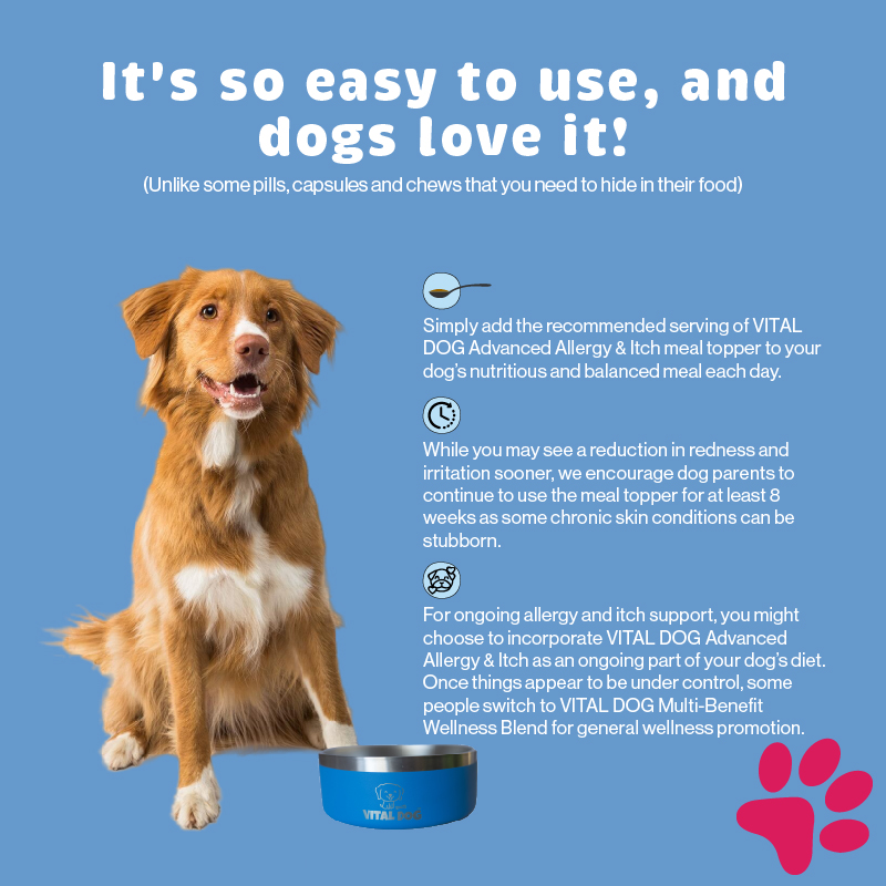 Vital Dog Product Carousel Tiles Allergy Usage