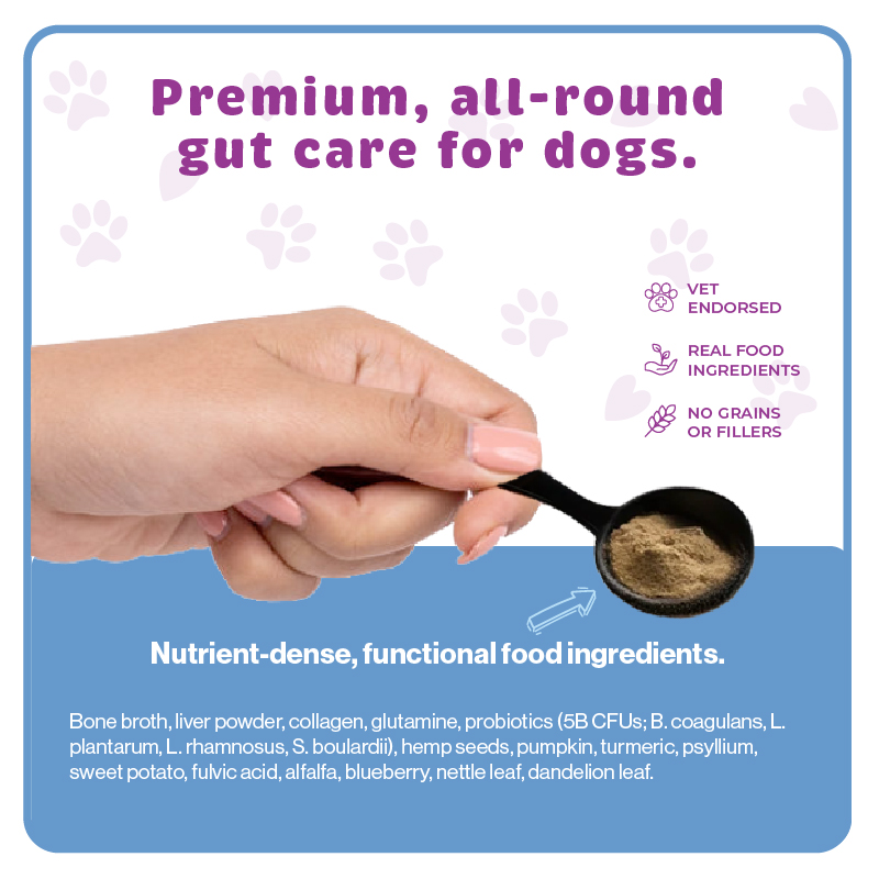 Vital Dog Product Carousel Tiles Gut Powder And Ingredients