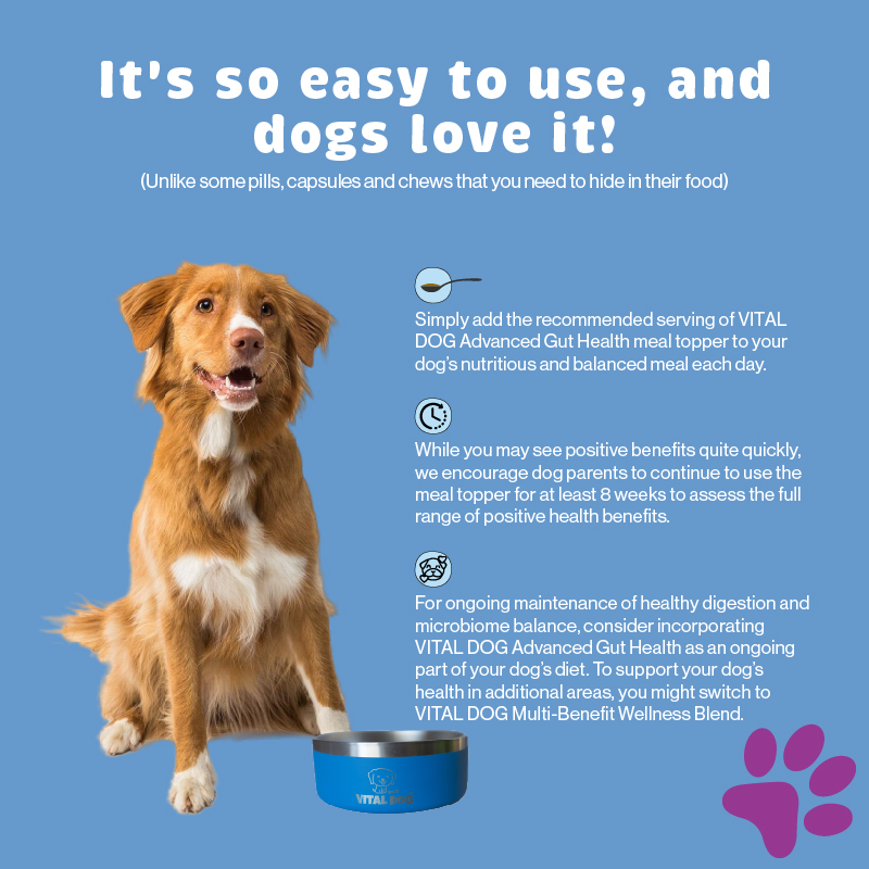 Vital Dog Product Carousel Tiles Gut Usage