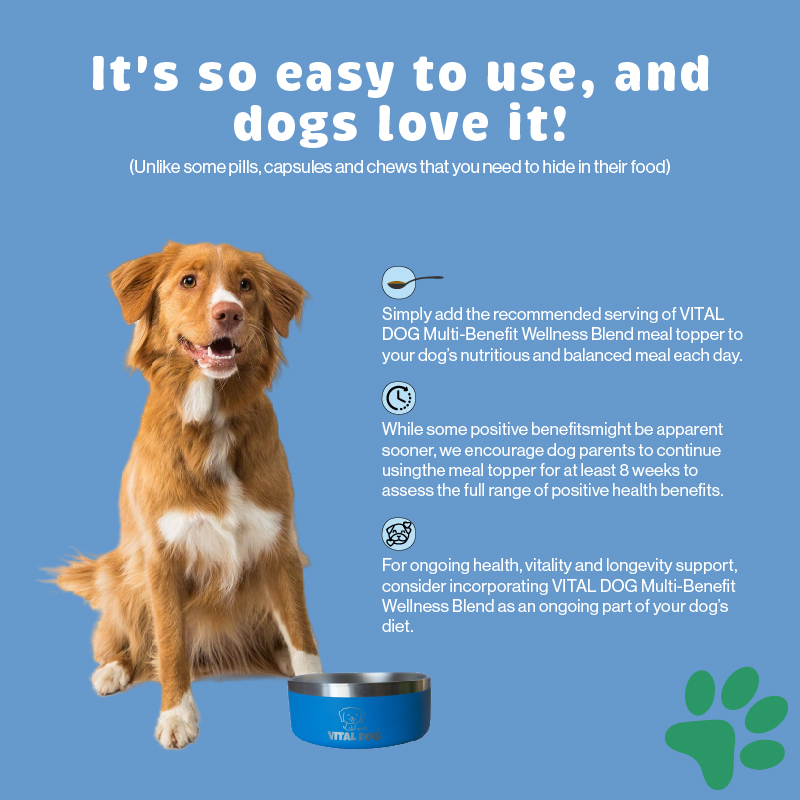 Vital Dog Product Carousel Tiles Multi Usage